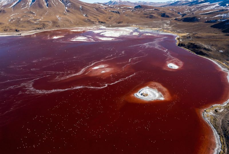 Laguna Colorada